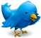 Follow Me on Twitter!